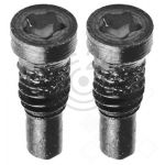 hier klicken, um das Produktfoto f&uuml;r Pentalobe Schrauben unten (2er Set) für schwarz zu vergr&ouml;&szlig;ern